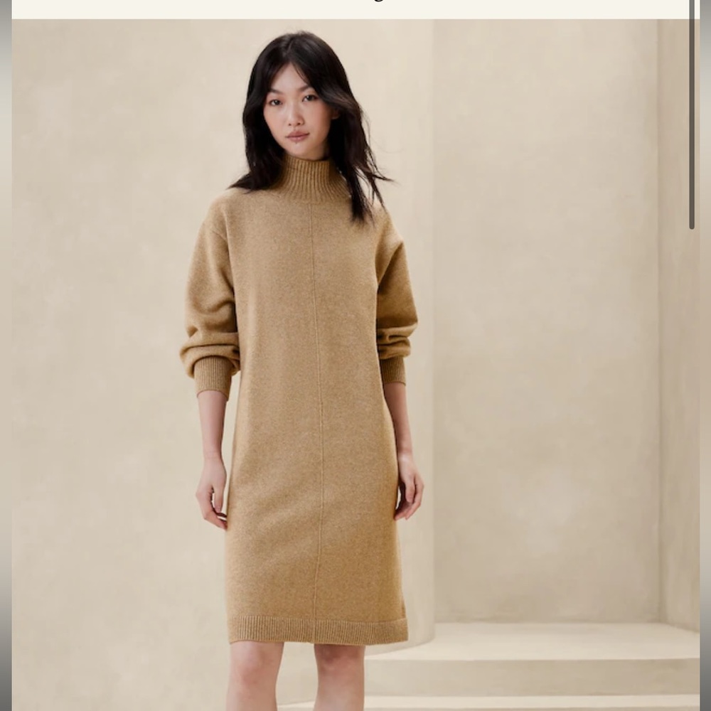 Banana Republic Mock Neck Sweater Dress